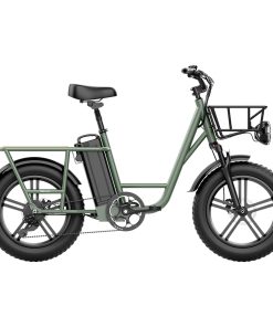 FIIDO T1 Cargo Electric Bike 20*4.0 Inch Fat Tires 750W Power 50Km/h Max Speed 48V 20AH Lithium Battery 150KM Range Shock Absorber - Green