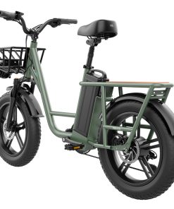 FIIDO T1 Cargo Electric Bike 750W Power 50km/h Max Speed 48V 20AH Lithium Battery 150km Range Shock Absorber - Green -rockbros-shop 3e851407d4454bf09572603a545f232a 499383 4