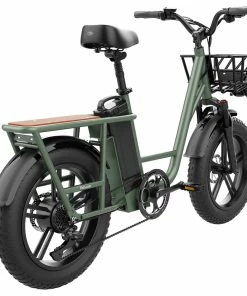 FIIDO T1 Cargo Electric Bike 20*4.0 Inch Fat Tires 750W Power 50Km/h Max Speed 48V 20AH Lithium Battery 150KM Range Shock Absorber - Green -rockbros-shop 68a46437b4974cfb95742b8e123487cd 517045 5