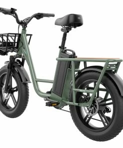 FIIDO T1 Cargo Electric Bike 20*4.0 Inch Fat Tires 750W Power 50Km/h Max Speed 48V 20AH Lithium Battery 150KM Range Shock Absorber - Green -rockbros-shop 6dda68fd09224434917267dbaf8e769a 517045 4