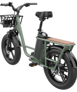 FIIDO T1 Cargo Electric Bike 750W Power 50km/h Max Speed 48V 20AH Lithium Battery 150km Range Shock Absorber - Green -rockbros-shop 7368305ce0ff43dea5ecbb915cf30e39 499383 1
