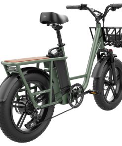 FIIDO T1 Cargo Electric Bike 750W Power 50km/h Max Speed 48V 20AH Lithium Battery 150km Range Shock Absorber - Green -rockbros-shop 9dd8cee63d1a45579672c3ae28ba7ef8 499383 5