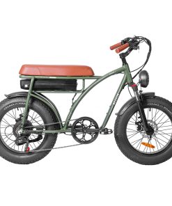 BEZIOR XF001 Retro Electric Bike 20*4.0 Inch Fat Tires 1000W Motor 12.5Ah 48V Battery 45Km/h Max Speed 120kg Max Load Shimano 7-Speed Dual Mechanical Disc Brakes Front & Rear Suspension Fork LCD Display - Army Green 3 BEZIOR XF001 Retro Electric Bike 20*4.0 Inch Fat Tires 1000W Motor 12.5Ah 48V Battery 45Km/h Max Speed 120kg Max Load Shimano 7-Speed Dual Mechanical Disc Brakes Front & Rear Suspension Fork LCD Display - Army Green -rockbros-shop Bezior XF001 Retro Electric Bike 1000W Brushless Motor 519234 0