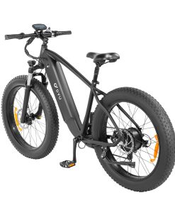 DYU King 750 Mountain E-Bike 26*4.0 Inch Fat Tires 48V 750W Brushless High-Speed Motor 20Ah LG Battery For 80km Range 45km/h Max Speed 150KG Max Load 6 DYU King 750 Mountain E-Bike 26*4.0 Inch Fat Tires 48V 750W Brushless High-Speed Motor 20Ah LG Battery For 80km Range 45km/h Max Speed 150KG Max Load -rockbros-shop DYU King 750 26 Inch Mountain E Bike 518511 3