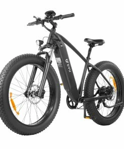 DYU King 750 Mountain E-Bike 26*4.0 Inch Fat Tires 48V 750W Brushless High-Speed Motor 20Ah LG Battery For 80km Range 45km/h Max Speed 150KG Max Load