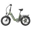 FAFREES FF20 Polar Electric Bike 48V 500W Motor 40Km/h Max Speed Dual 10.4Ah Batteries For 150KM Range 20*4.0 Inch CHAOYANG Fat Tire Double Disc Brakes Shimano 7-Speed Gear LCD Color Display - Green -rockbros-shop FAFREES FF20 Polar Electric Bike Green 519499 1