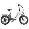 FAFREES FF20 Polar Electric Bike 48V 500W Motor 40Km/h Max Speed Dual 10.4Ah Batteries For 150KM Range 20*4.0 Inch CHAOYANG Fat Tire Double Disc Brakes Shimano 7-Speed Gear LCD Color Display - White -rockbros-shop FAFREES FF20 Polar Electric Bike White 519501 0