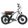 GOGOBEST GF750 Electric Bicycle 1000W*2 Dual Motors 50Km/h Max Speed 48V 17.5Ah Battery 20*4.0 Inch Fat Tire Shimano 7-Speed Gear With USB Phone Charging 200KG Max Load - Army Green -rockbros-shop GOGOBEST GF750 Electric Bicycle 1000W 2 Dual Motors Army Green 517424 0