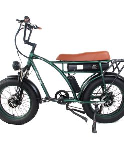 GOGOBEST GF750 Electric Retro Bicycle 20*4.0 Inch Fat Tire 1000W*2 Dual Motors 50Km/h Max Speed 48V 17.5Ah Battery 80KM Range Shimano 7-Speed Gear With USB Phone Charging 200KG Max Load - Army Green 4 GOGOBEST GF750 Electric Retro Bicycle 20*4.0 Inch Fat Tire 1000W*2 Dual Motors 50Km/h Max Speed 48V 17.5Ah Battery 80KM Range Shimano 7-Speed Gear With USB Phone Charging 200KG Max Load - Army Green -rockbros-shop GOGOBEST GF750 Electric Bicycle 1000W 2 Dual Motors Army Green 519209 1
