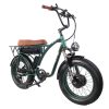 GOGOBEST GF750 Electric Retro Bicycle 20*4.0 Inch Fat Tire 1000W*2 Dual Motors 50Km/h Max Speed 48V 17.5Ah Battery 80KM Range Shimano 7-Speed Gear With USB Phone Charging 200KG Max Load - Army Green -rockbros-shop GOGOBEST GF750 Electric Bicycle 1000W 2 Dual Motors Army Green 519209 2