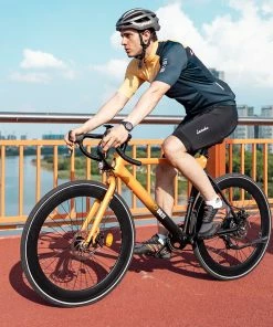 GOGOBEST R2 Electric City Road Bike 700C*32C Tires 36V 250W Motor 32Km/h Max Speed 36V 9.6Ah Battery For 60-80KM Range 100kg Load SHIMANO 7-Speed Gears - Orange -rockbros-shop GOGOBEST R2 Electric City Road Bike Orange 518589 5