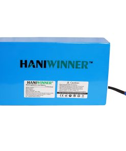 HANIWINNER HA201 Electric Bike Rechargeable Lithium Battery 48V 20AH 960W With Charger - Blue