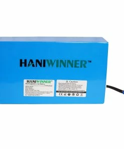HANIWINNER HA201 Electric Bike Rechargeable Lithium Battery 48V 20AH 960W With Charger - Blue
