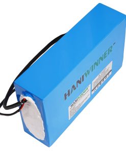 HANIWINNER HA201 Electric Bike Rechargeable Lithium Battery 48V 20AH 960W With Charger - Blue -rockbros-shop HANIWINNER 472293 1