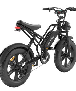 HAPPYRUN HR-G50 Electric Bike 20*4.0 Inch Fat Tires 48V 18Ah Battery 750W Motor 45Km/h Max Speed Retro Ebike Max Load 150kg Shimano 7-Speed Gear -rockbros-shop HAPPYRUN HR G50 Electric Bike 518904 3