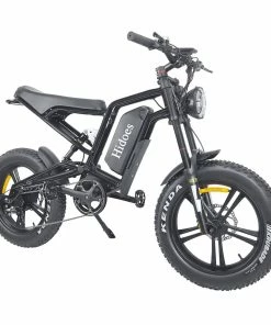 Hidoes B6 All-terrain Electric Bike 20 Inch Off-road Fat Tire, 1200W High Speed Motor 60Km/h Max Speed 48V 17.5Ah Battery Dual Oil Disc Brakes