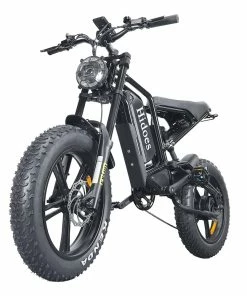 Hidoes B6 All-terrain Electric Bike 20 Inch Off-road Fat Tire, 1200W High Speed Motor 60Km/h Max Speed 48V 17.5Ah Battery Dual Oil Disc Brakes -rockbros-shop Hidoes B6 All terrain Electric Bike 20 Off road Tire 518651 3