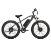 LANKELEISI MG740 PLUS Electric Bike 26*4.0'' Tires 1000W*2 Dual Motor 20Ah Battery 49km/h Max Speed - Black & Grey