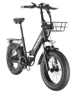Philodo Bikes PHILODO H4 Foldable Step-Thru Fat Bike 20 Inch 48V 13Ah Removable Battery 250W Motor 25km/h Dual Brakes - Black -rockbros-shop PHILODO H4 Foldable Step Thru Fat Bike 20 Inch Black 507613 2