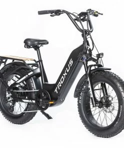 Troxus Lynx Electric Bike 20*4.0 Inch Fat Tire 750W Bafang Brushless Motor 45Km/h Speed 48V 20Ah Samsung Battery Up To 62 Miles Range Shimano 8 Speed - Black