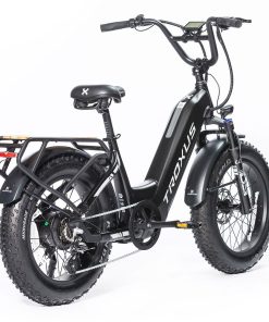 Troxus Lynx Electric Bike 20*4.0 Inch Fat Tire 750W Bafang Brushless Motor 45Km/h Speed 48V 20Ah Samsung Battery Up To 62 Miles Range Shimano 8 Speed - Black 3 Troxus Lynx Electric Bike 20*4.0 Inch Fat Tire 750W Bafang Brushless Motor 45Km/h Speed 48V 20Ah Samsung Battery Up To 62 Miles Range Shimano 8 Speed - Black -rockbros-shop Troxus Lynx 20 Fat Tire Electric Bike Black 519325 1