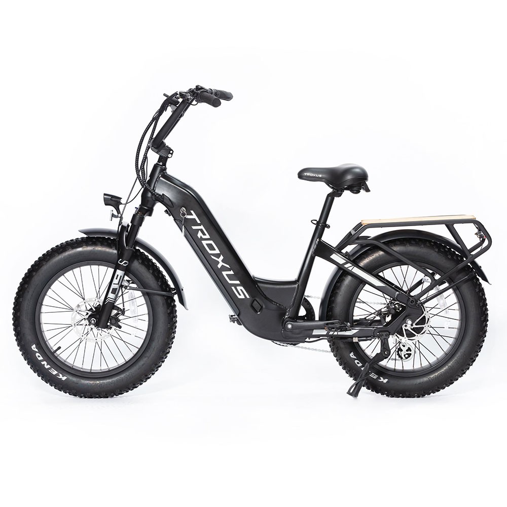 Troxus Lynx Electric Bike 20*4.0 Inch Fat Tire 750W Bafang Brushless Motor 45Km/h Speed 48V 20Ah Samsung Battery Up to 62 Miles Range Shimano 8 Speed - Black Troxus Lynx Electric Bike 20*4.0 Inch Fat Tire 750W Bafang Brushless Motor 45Km/h Speed 48V 20Ah Samsung Battery Up To 62 Miles Range Shimano 8 Speed - Black -rockbros-shop Troxus Lynx 20 Fat Tire Electric Bike Black 519325 2