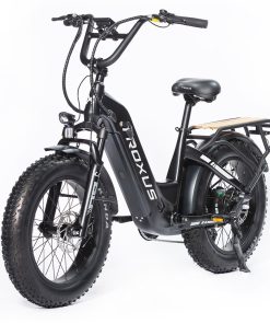 Troxus Lynx Electric Bike 20*4.0 Inch Fat Tire 750W Bafang Brushless Motor 45Km/h Speed 48V 20Ah Samsung Battery Up To 62 Miles Range Shimano 8 Speed - Black 5 Troxus Lynx Electric Bike 20*4.0 Inch Fat Tire 750W Bafang Brushless Motor 45Km/h Speed 48V 20Ah Samsung Battery Up To 62 Miles Range Shimano 8 Speed - Black -rockbros-shop Troxus Lynx 20 Fat Tire Electric Bike Black 519325 3
