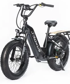 Troxus Lynx Electric Bike 20*4.0 Inch Fat Tire 750W Bafang Brushless Motor 45Km/h Speed 48V 20Ah Samsung Battery Up To 62 Miles Range Shimano 8 Speed - Black -rockbros-shop Troxus Lynx 20 Fat Tire Electric Bike Black 519325 3
