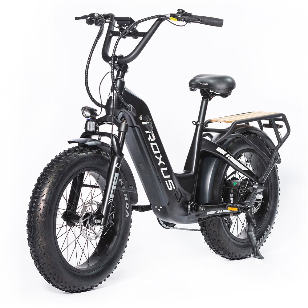 Troxus Lynx Electric Bike 20*4.0 Inch Fat Tire 750W Bafang Brushless Motor 45Km/h Speed 48V 20Ah Samsung Battery Up to 62 Miles Range Shimano 8 Speed - Black Troxus Lynx Electric Bike 20*4.0 Inch Fat Tire 750W Bafang Brushless Motor 45Km/h Speed 48V 20Ah Samsung Battery Up To 62 Miles Range Shimano 8 Speed - Black -rockbros-shop Troxus Lynx 20 Fat Tire Electric Bike Black 519325 3