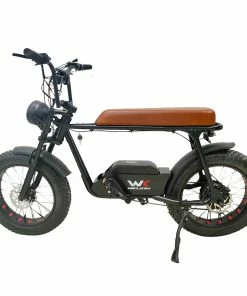 WELKIN WKEM003 Electric Bike 20*4.0 Inch Fat Tires Retro Bicycle 1200W Motor 48V 18Ah Battery 60-70KM Range 45Km/h Max Speed 200KG Max Load - Black