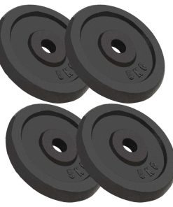Weight Plates 4 Pcs 20 Kg Cast Iron