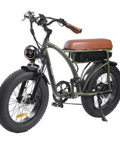 BEZIOR XF001 Retro Electric Bike 20*4.0 Inch Fat Tires 1000W Motor 12.5Ah 48V Battery 45Km/h Max Speed 120kg Max Load Shimano 7-Speed Dual Mechanical Disc Brakes Front & Rear Suspension Fork LCD Display - Green 5 BEZIOR XF001 Retro Electric Bike 20*4.0 Inch Fat Tires 1000W Motor 12.5Ah 48V Battery 45Km/h Max Speed 120kg Max Load Shimano 7-Speed Dual Mechanical Disc Brakes Front & Rear Suspension Fork LCD Display - Green -rockbros-shop bezior xf001 retro electric bike 1000w 12 5ah 48v 26 inch 45km h green d881df 1660805520011