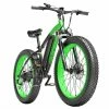 GOGOBEST GF600 Electric Bike 48V 13Ah Battery 1000W Motor 26x4.0 Inch Fat Tire Max Speed 40Km/h 110KM Power-assisted Mileage Range LCD Display IP54 Waterproof Aluminum Alloy Frame Shimano 7-speed Shift - Black Green -rockbros-shop c1c44b087b384a45a5b47c85519f36e8 519227 0
