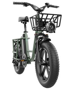 FIIDO T1 Cargo Electric Bike 20*4.0 Inch Fat Tires 750W Power 50Km/h Max Speed 48V 20AH Lithium Battery 150KM Range Shock Absorber - Green -rockbros-shop fiido d31 folding electric moped bicycle 20 250w motor blue 246bef 1642736266243
