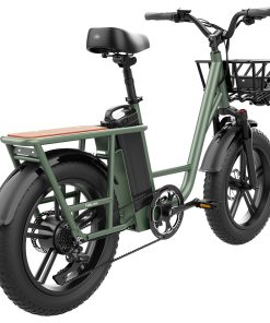 FIIDO T1 Cargo Electric Bike 20*4.0 Inch Fat Tires 750W Power 50Km/h Max Speed 48V 20AH Lithium Battery 150KM Range Shock Absorber - Green -rockbros-shop fiido d31 folding electric moped bicycle 20 250w motor blue 575c55 1642736266227