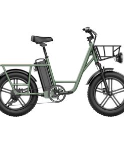 FIIDO T1 Cargo Electric Bike 20*4.0 Inch Fat Tires 750W Power 50Km/h Max Speed 48V 20AH Lithium Battery 150KM Range Shock Absorber - Green