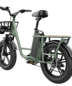 FIIDO T1 Cargo Electric Bike 20*4.0 Inch Fat Tires 750W Power 50Km/h Max Speed 48V 20AH Lithium Battery 150KM Range Shock Absorber - Green -rockbros-shop fiido d31 folding electric moped bicycle 20 250w motor blue ea5c4c 1642736266024