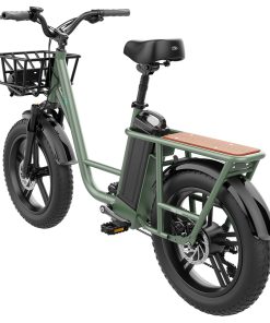FIIDO T1 Cargo Electric Bike 20*4.0 Inch Fat Tires 750W Power 50Km/h Max Speed 48V 20AH Lithium Battery 150KM Range Shock Absorber - Green -rockbros-shop fiido d31 folding electric moped bicycle 20 250w motor blue f369f1 1642736266243