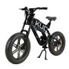KUGOO T01 Electric Bicycle 48V 500W Motor 13Ah Battery 20*4.0 Inch Fat Tires 38Km/h Max Speed Shimano 7-Speed Gears Hydraulic Brakes 50-65KM Mileage 150KG Load Electric Mountain Bike - Black -rockbros-shop kugoo t01 electric bicycle 20 inch 48v 500w 38km h 13ah battery black a7481b 1665658590071