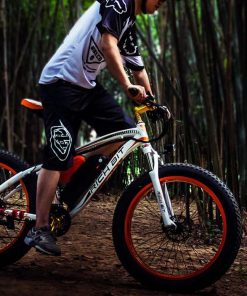 RICH BIT TOP-022 Electric Mountain Bike 26*4.0 Inch Chaoyang Fat Tires 1000W Motor 48V 17AH Battery 35Km/h Max Speed Up To 60km Range Dual Disc Brake LCD Display IP54 Waterproof - White Orange 7 RICH BIT TOP-022 Electric Mountain Bike 26*4.0 Inch Chaoyang Fat Tires 1000W Motor 48V 17AH Battery 35Km/h Max Speed Up To 60km Range Dual Disc Brake LCD Display IP54 Waterproof - White Orange -rockbros-shop rich bit top 022 electric mountain bike 1000w motor 26 white orange 1590660019408